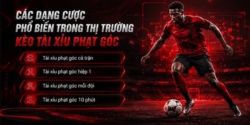Các dạng cược phổ biến